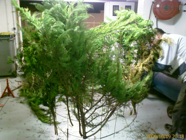 bricolage pour la palombe IMAGE_00120