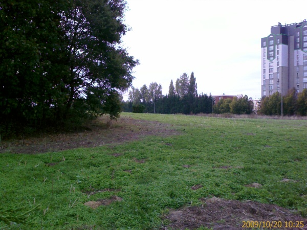 bricolage pour la palombe IMAGE_00123